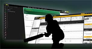 The Best Cricket Betting Sites in India